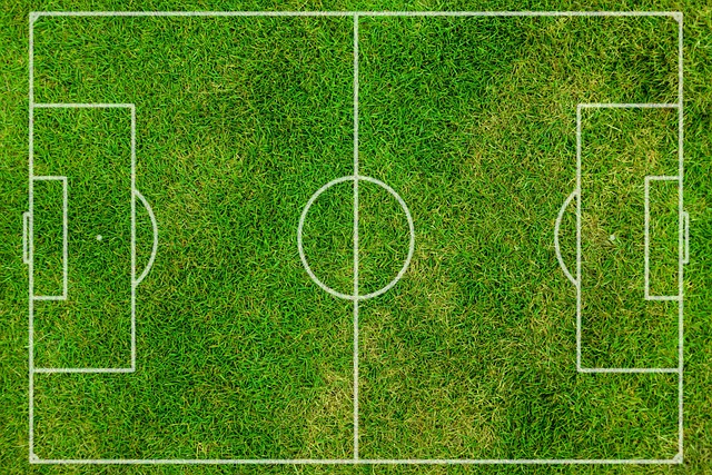 Australske talenter på vej mod europa – a-league som springbræt